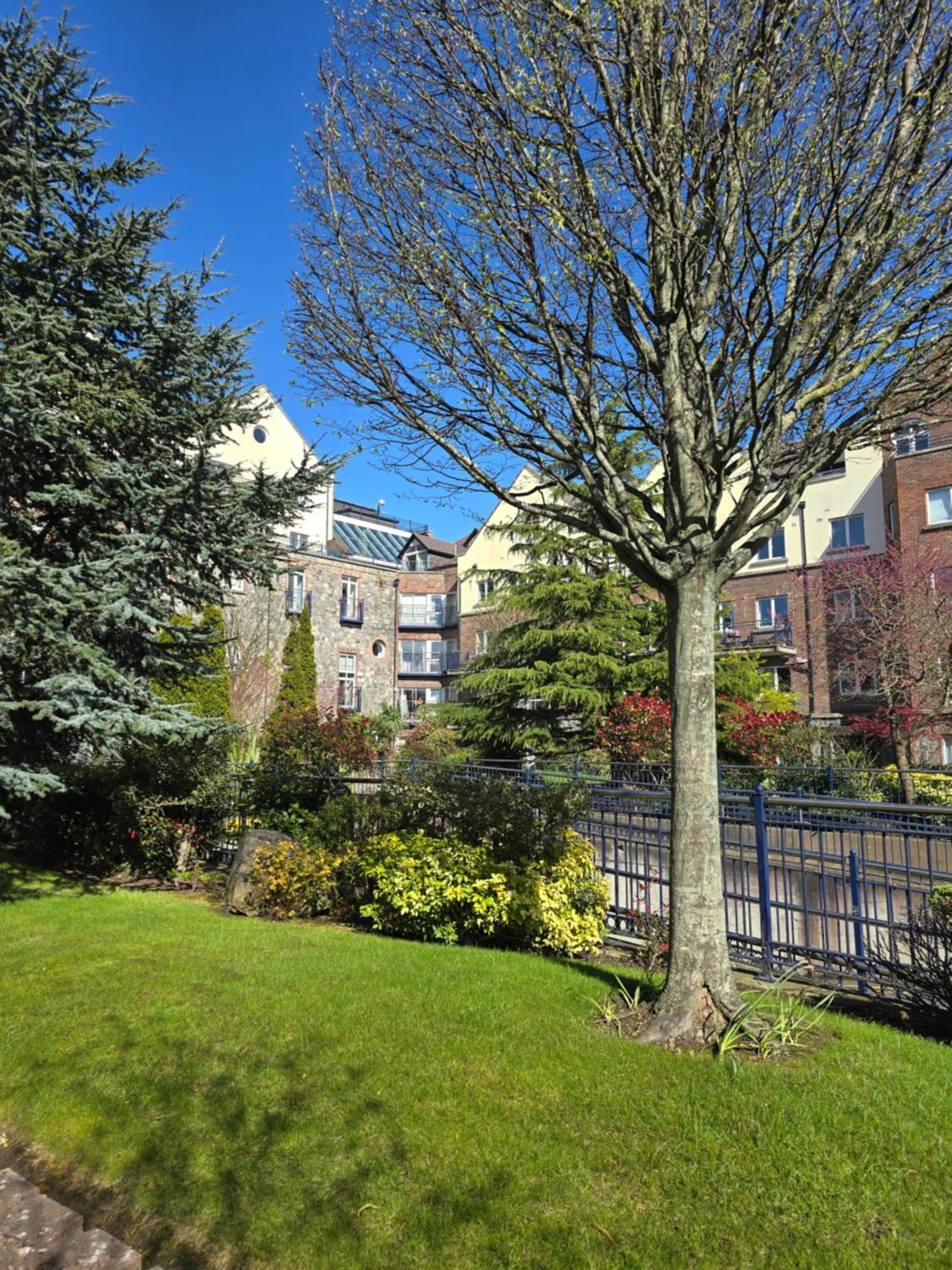 Gracian Omb Dublin Apartment Eksteriør billede